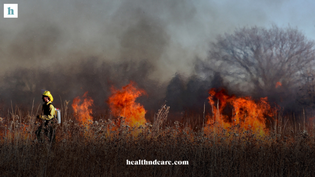 Wildfires and Air Quality